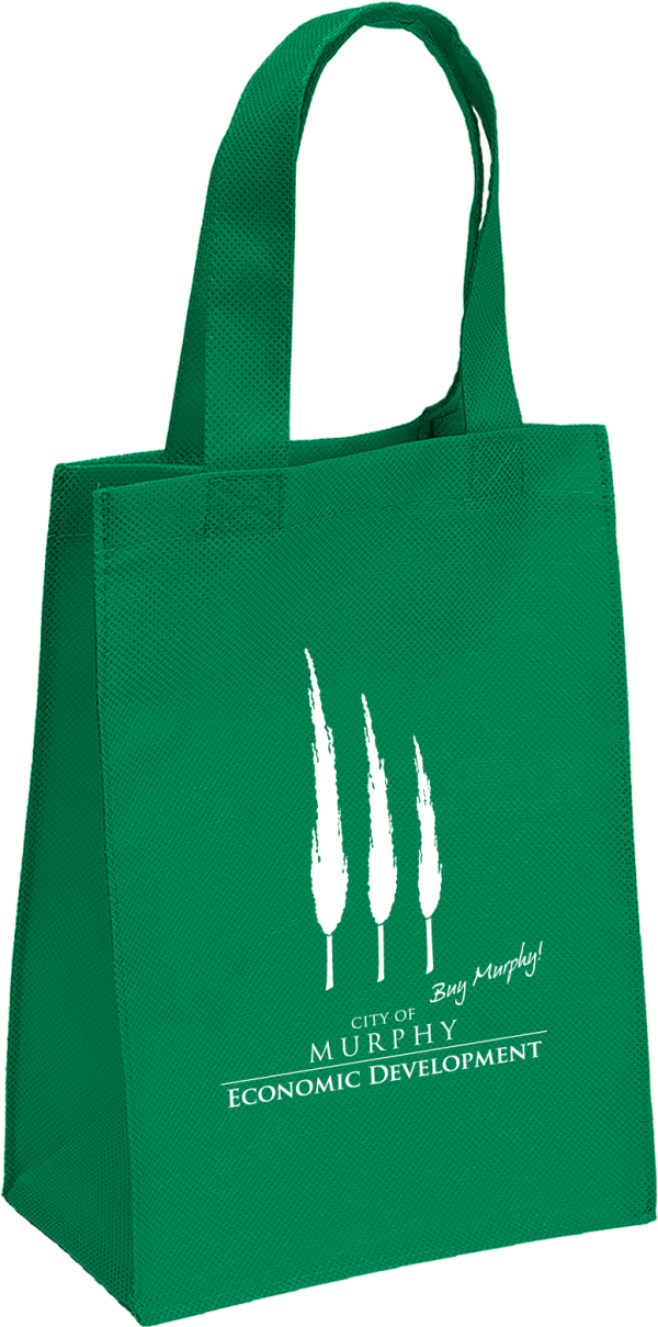 Non Wooven paper Bag