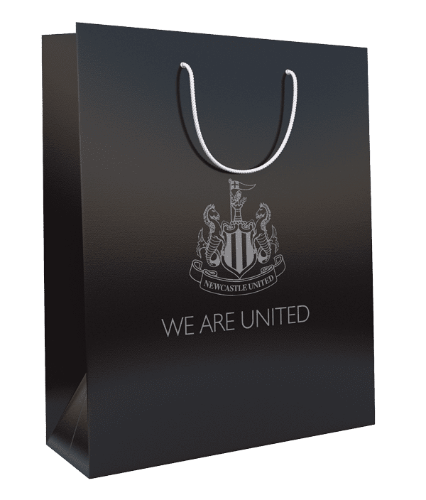 Luxury Laminated Paper Bag
